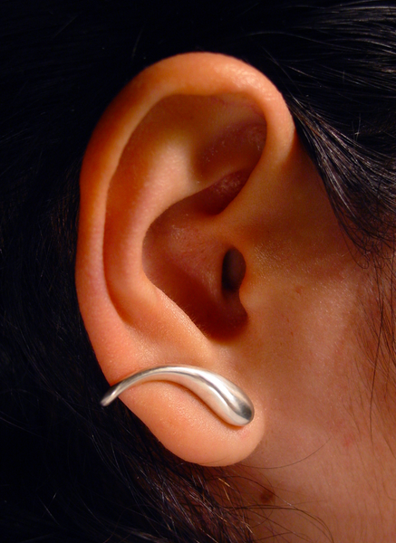 Earrings Silver